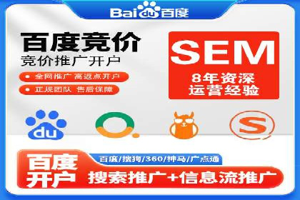某企业通过百度SEM实现ROI最大化的案例